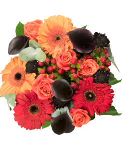 Array,AUTUMN LOVE 18 ST