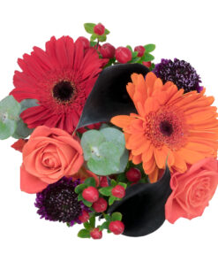 Array,AUTUMN LOVE 12 ST