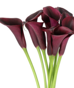 MINI CALLA ODESSA PLUM