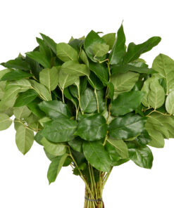 Array,Bouquet Salal Green Bqt 60cm
