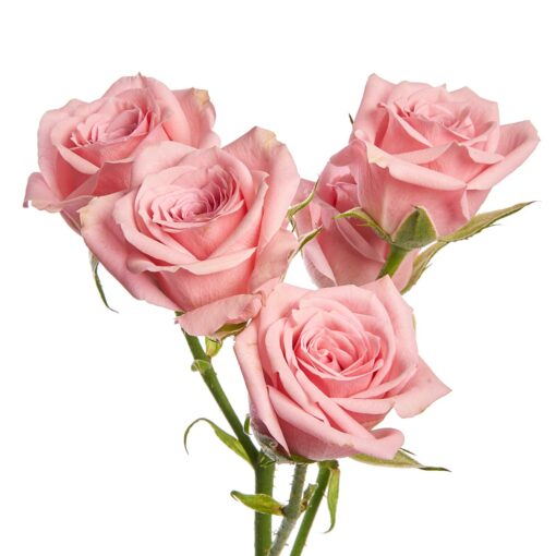 Array,Spray Roses Pink Mayolika 40cm