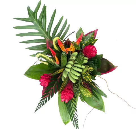 Tropicals
